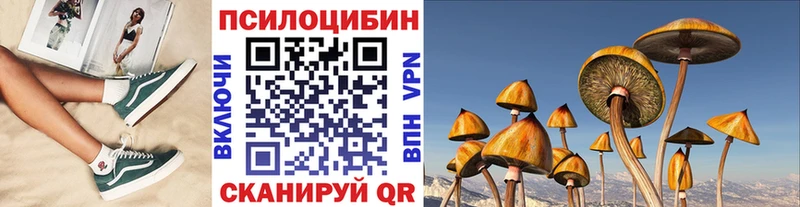 цена наркотик  mega маркетплейс  Галлюциногенные грибы MAGIC MUSHROOMS  Усмань 